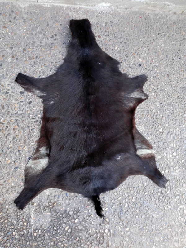 piel animales 57x40 3u 80x46 61x48 80x50 90x74 110x85 113x100